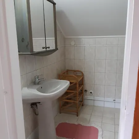 Tuja Vendeghaz * Lajoskomárom