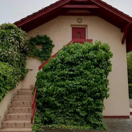 Apartment Tuja Vendeghaz *